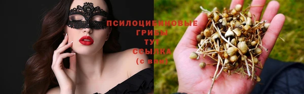 дурь Аркадак