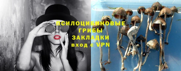 a pvp Арсеньев